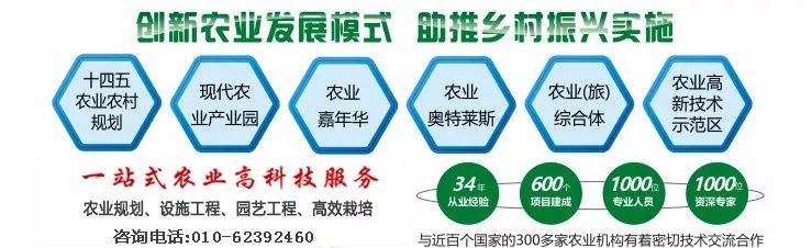 红小豆种植技术视频_红小豆种植视频_红小豆高产种植技术