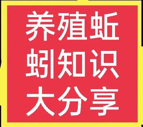 蚯蚓的销路在哪里？如何加工？一文全说清！(附带养殖方法)