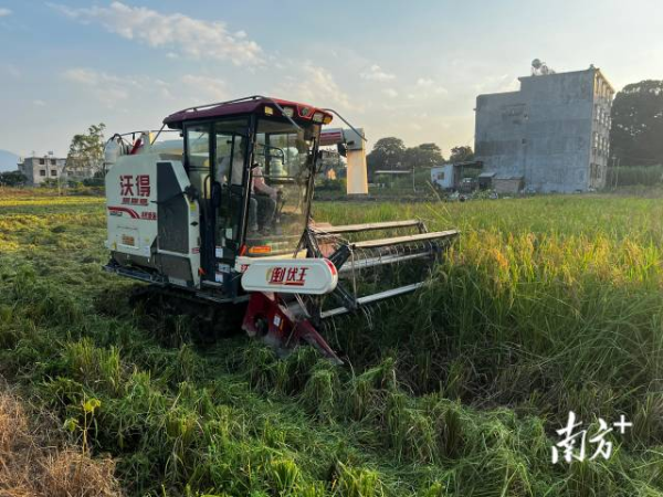 潮州饶平：以组织振兴积蓄动能助推产业振兴 “党建红”绘出新丰景