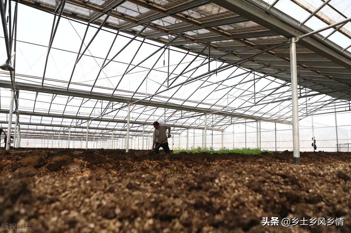 养殖蚯蚓人工技术视频_蚯蚓人工养殖技术_养殖蚯蚓技术了视频