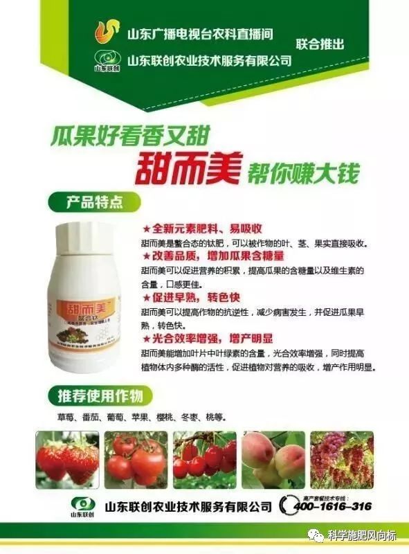 秋蕃茄种植技术_种植秋蕃茄技术视频_种植秋蕃茄技术与管理