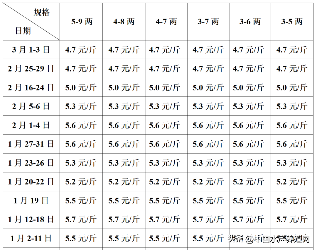 关于黑鱼水花养殖技术_养殖水花黑鱼技术要点_养殖水花黑鱼技术视频