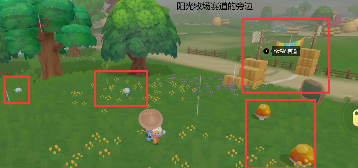 养蝴蝶好吗怎么养