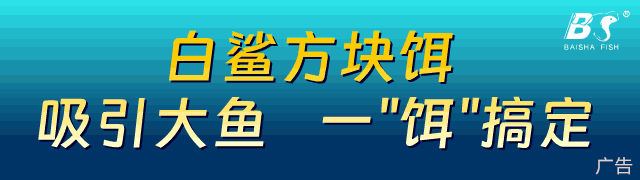 专题|垂钓江湖“黑鱼”习性秘籍大揭底