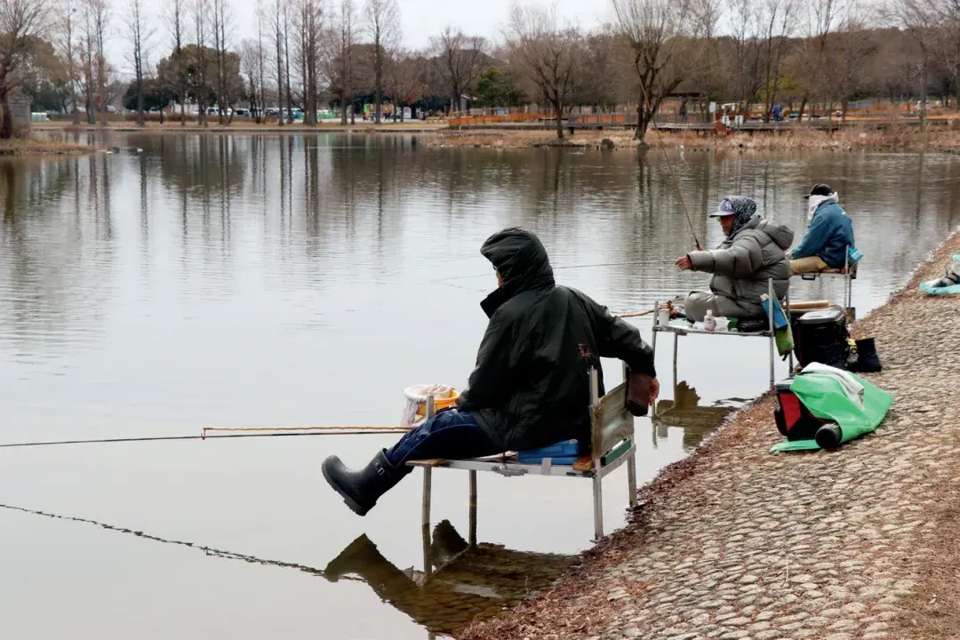 关于黑鱼水花养殖技术_养殖水花黑鱼技术要点_养殖水花黑鱼技术视频