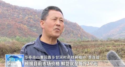抓实链长制 奋进十四五｜华亭：中药材喜获丰收 群众致富路上药香浓