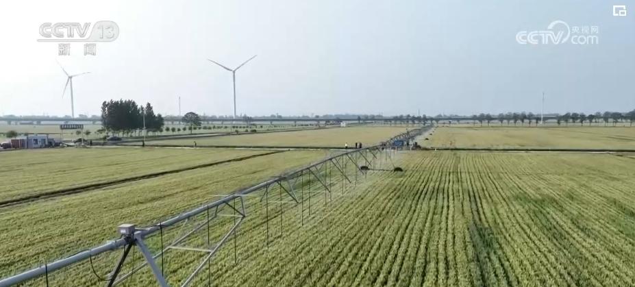 重庆奉节副县长陈鼎_致富经重庆奉节县陈波_奉节陈涛