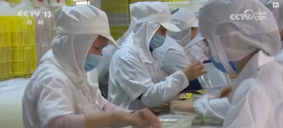 奉节陈涛_致富经重庆奉节县陈波_重庆奉节副县长陈鼎