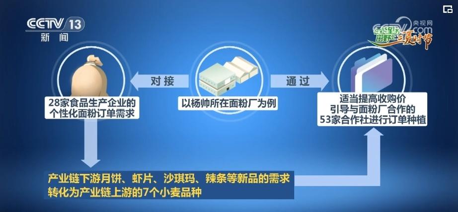 奉节陈涛_致富经重庆奉节县陈波_重庆奉节副县长陈鼎