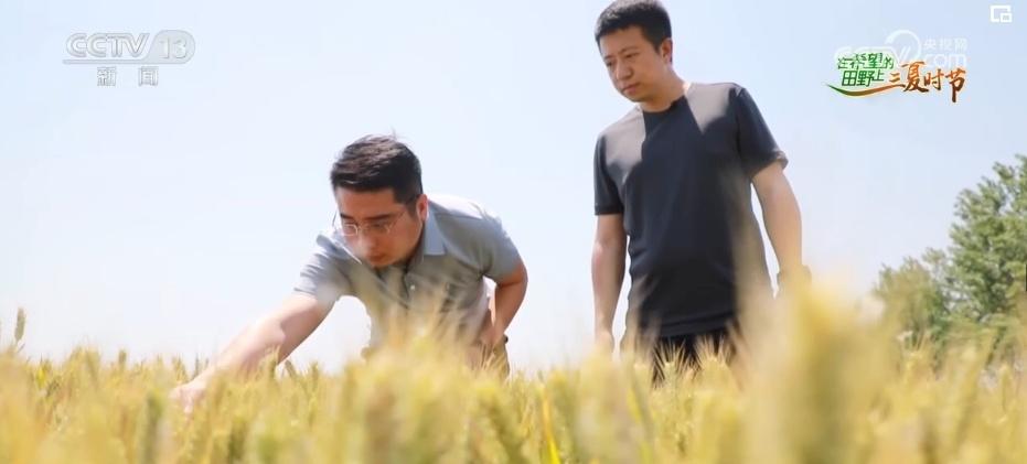 致富经重庆奉节县陈波_重庆奉节副县长陈鼎_奉节陈涛
