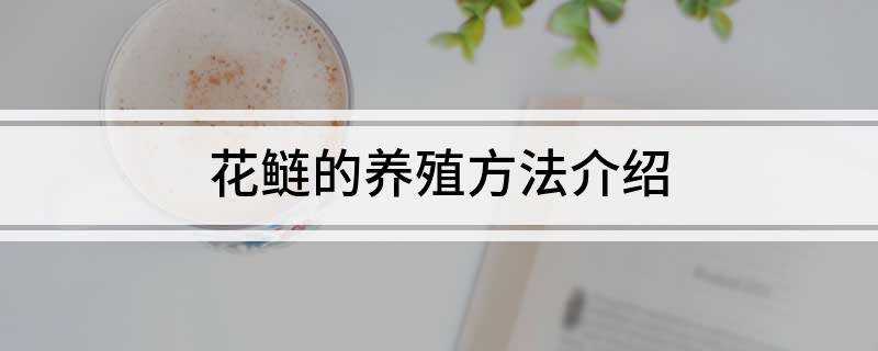 花鲢养殖施肥技术_花鲢养殖施肥技术_花鲢养殖施肥技术