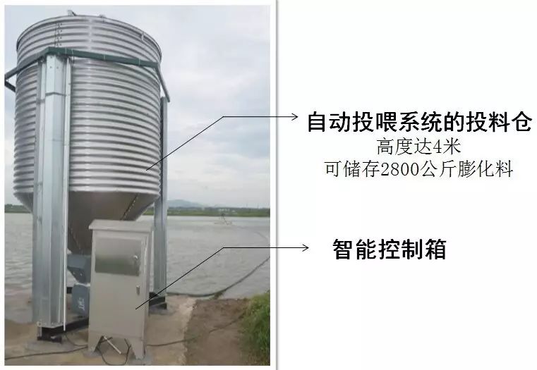 草鱼养殖场技术视频_养殖草鱼视频大全_视频养殖草鱼技术大全