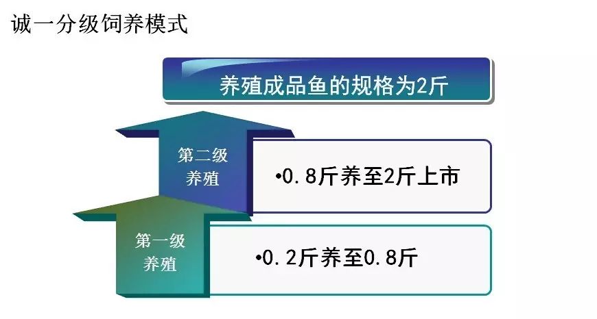 视频养殖草鱼技术大全_草鱼养殖场技术视频_养殖草鱼视频大全