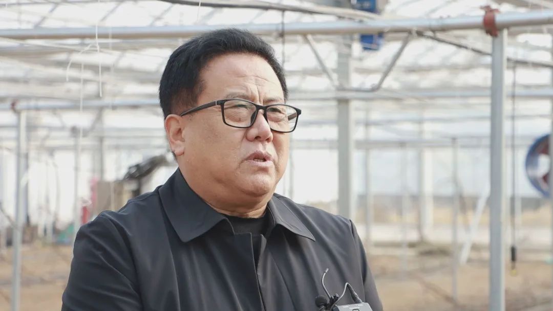 上海农业种植致富_上海种植基地_上海种植什么赚钱