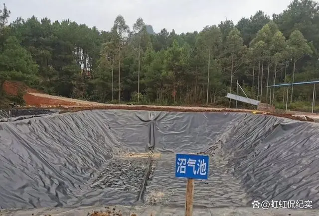致富经 牛粪掏五百万_挖牛粪的工具叫什么_掏牛粪视频