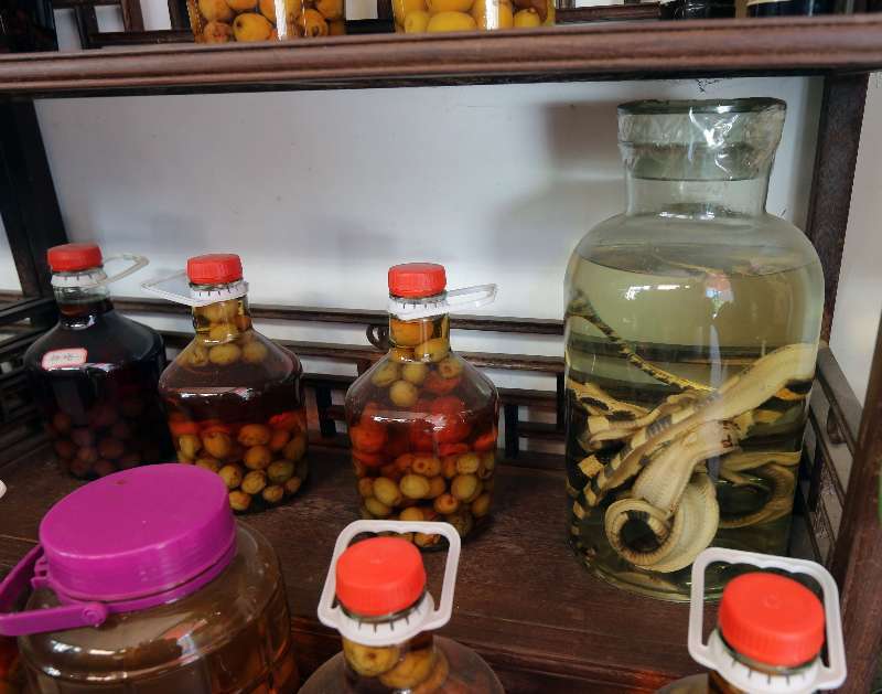 视频致富种植苍耳是真的吗_苍耳种植致富视频_苍耳种植技术