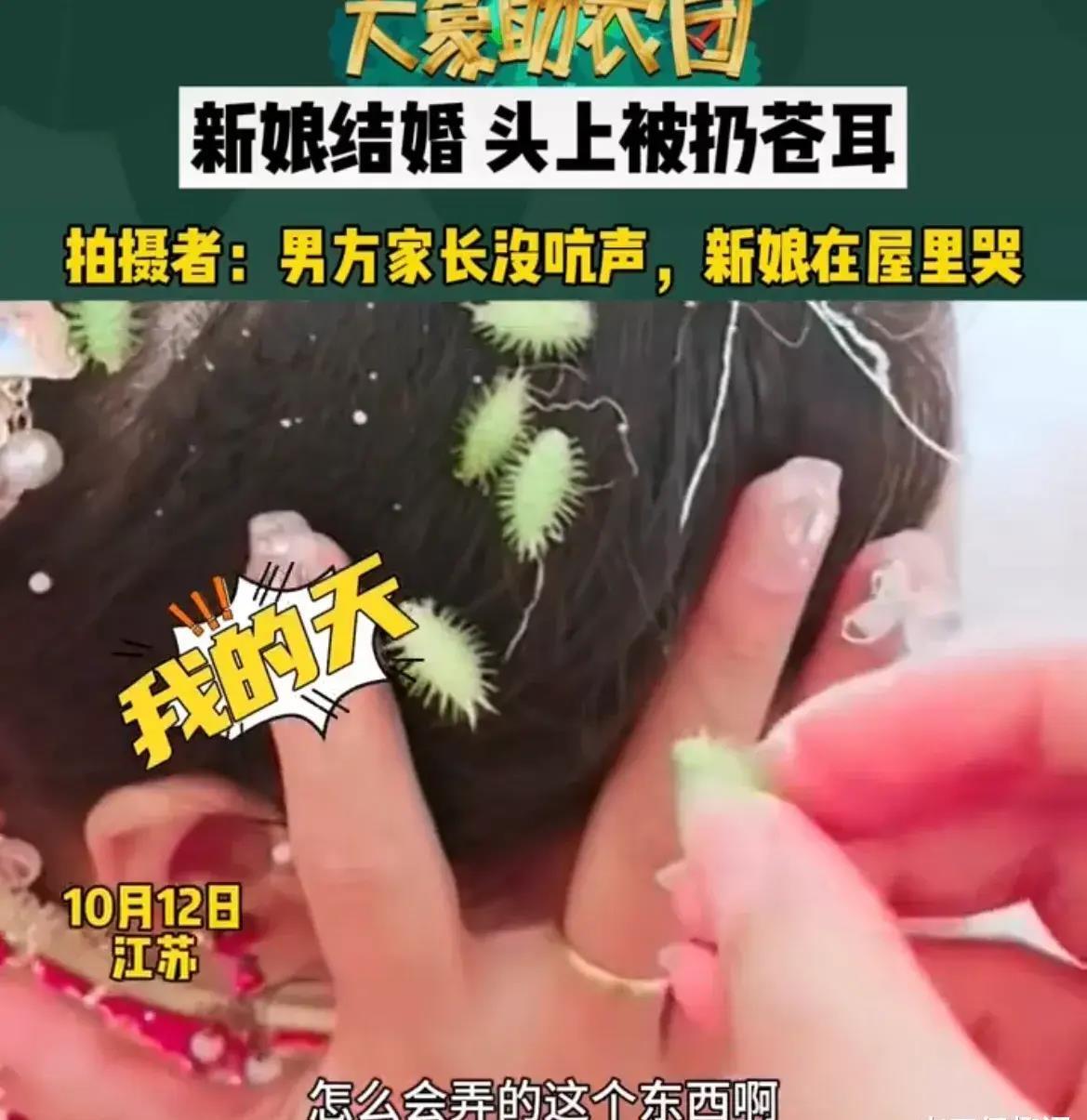 苍耳种植投资与利润_苍耳种植致富视频_种苍耳挣钱吗