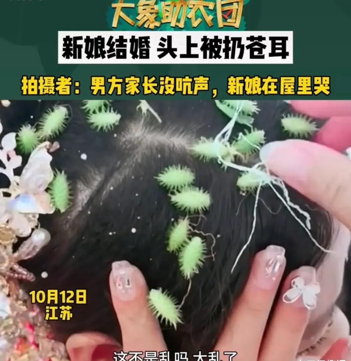 苍耳种植致富视频_苍耳种植投资与利润_种苍耳挣钱吗