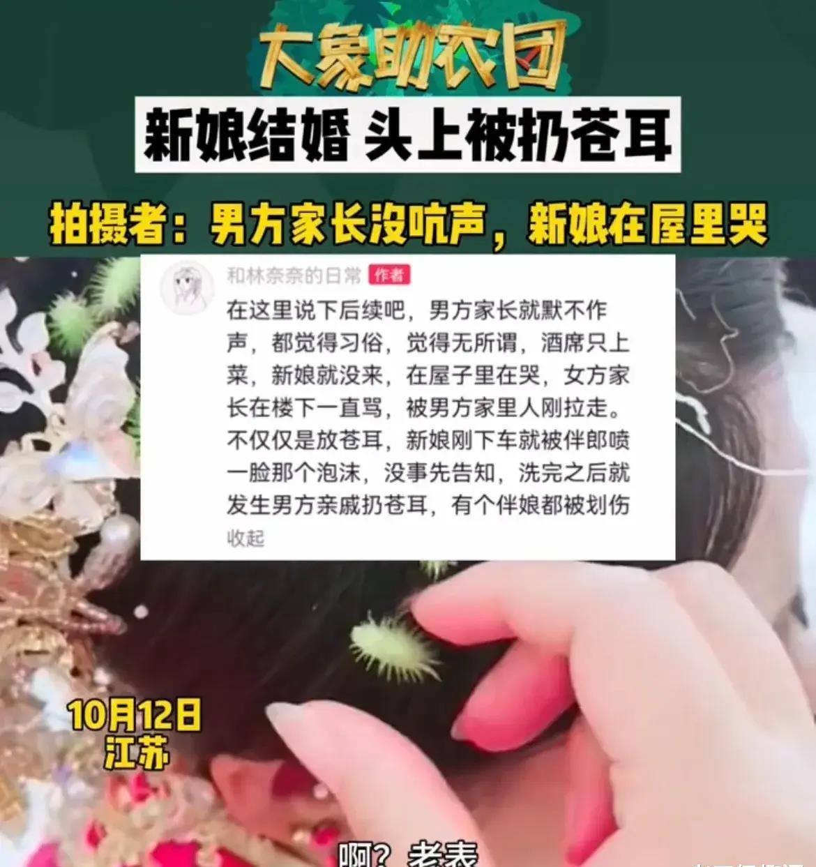苍耳种植致富视频_种苍耳挣钱吗_苍耳种植投资与利润