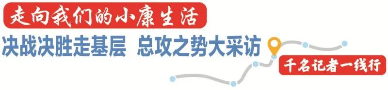 【千名记者一线行】养鸽“啄”开致富门 竹笋长成“摇钱树”