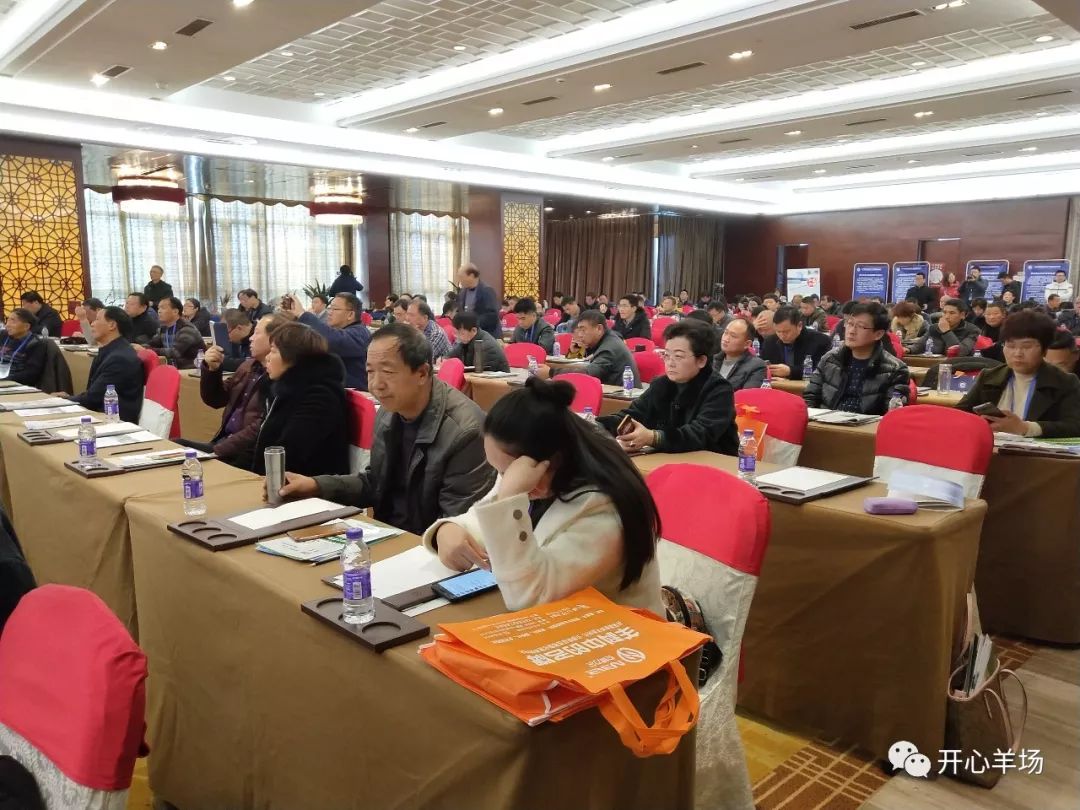 海门山羊多少钱一只_山羊养殖户_海门山羊养殖技术