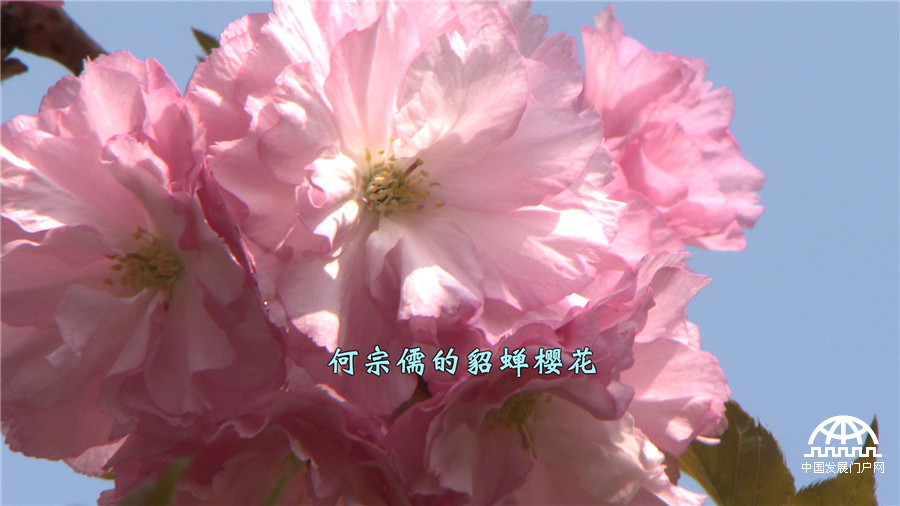 致富牛人_致富经牛财富_致富才经