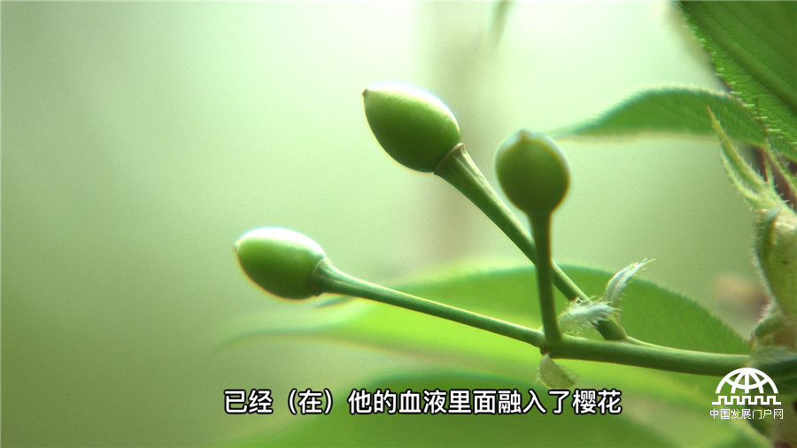 致富牛人_致富才经_致富经牛财富