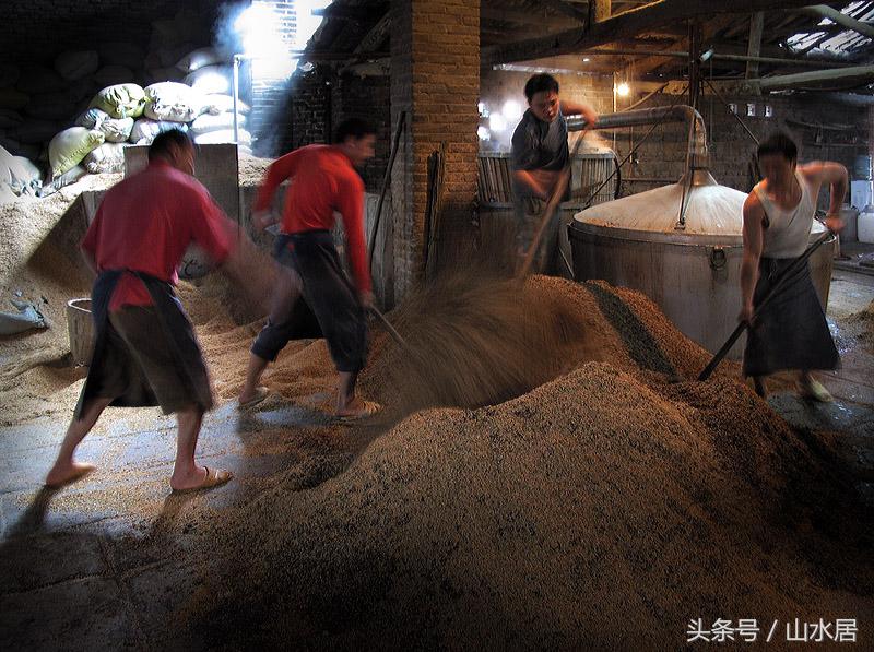 酒糟养鸡的方法和配方_酒糟鸡饲料配方_酒糟养殖鸡致富经成功人士