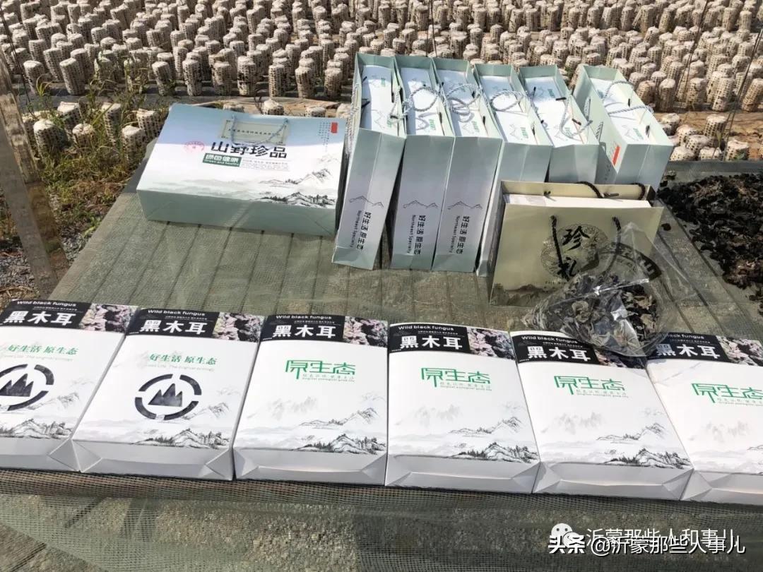 致富劲木耳种植方法_种植木耳前景如何_木耳种植赚钱吗