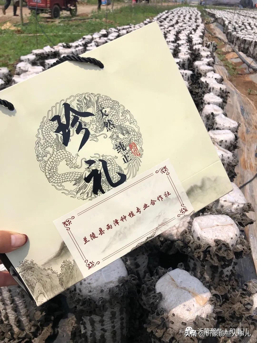 木耳种植赚钱吗_种植木耳前景如何_致富劲木耳种植方法