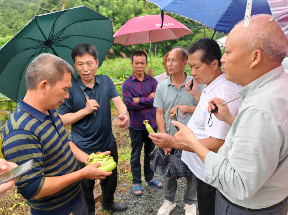 县农业农村局：大兴调研之风 深入基地解种植难题