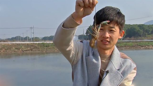 龙虾养殖致富视频_养殖龙虾视频大全_致富经龙虾养殖技术视频
