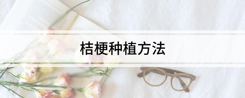 桔梗药材种植_药材种植桔梗技术中的作用_中药材桔梗种植技术