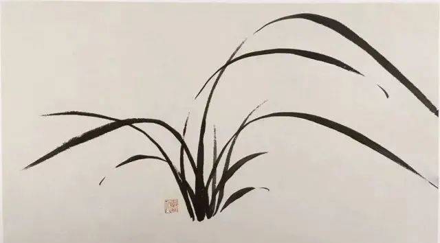 致富种植惠兰图片大全_惠兰种植致富_致富种植惠兰好吗