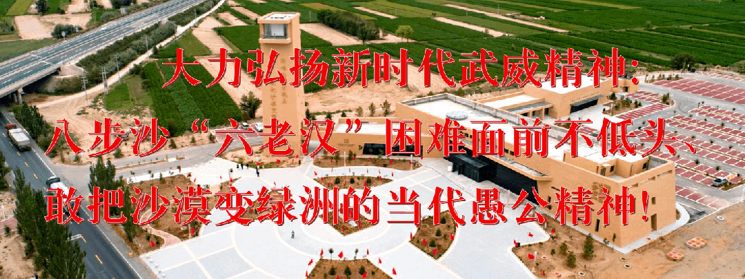 农村致富项目种植业_农民种植致富_种植致富的农村