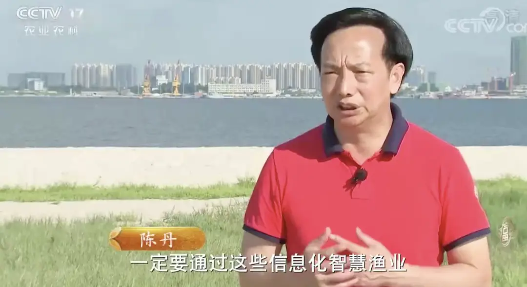 致富经珠海海鲈鱼养殖_珠海鲈鱼塘口价_珠海鲈鱼养殖公司