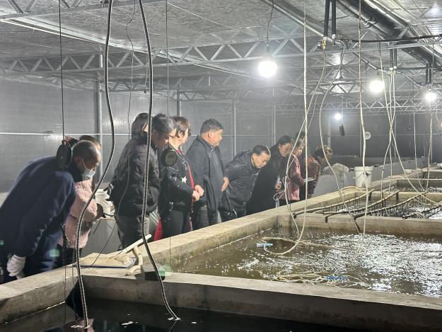 蚯蚓养殖项目补贴_致富经养殖蚯蚓_残疾人养殖蚯蚓致富项目