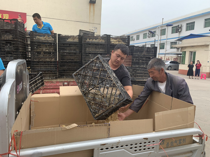 养殖蚯蚓补贴找哪个部门_残疾人养殖蚯蚓致富项目_养殖蚯蚓国家有扶持吗