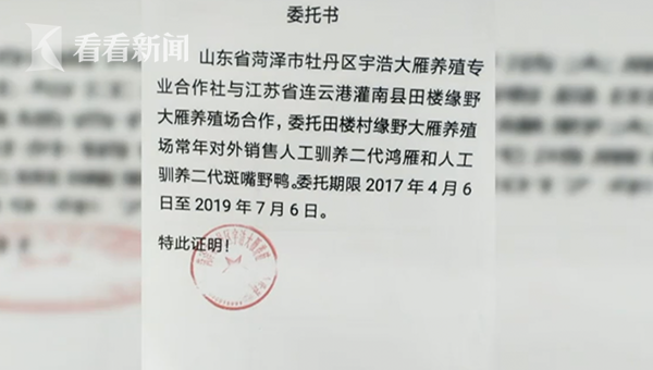致富财经女人创业视频_致富女能手_致富经为了女友创业
