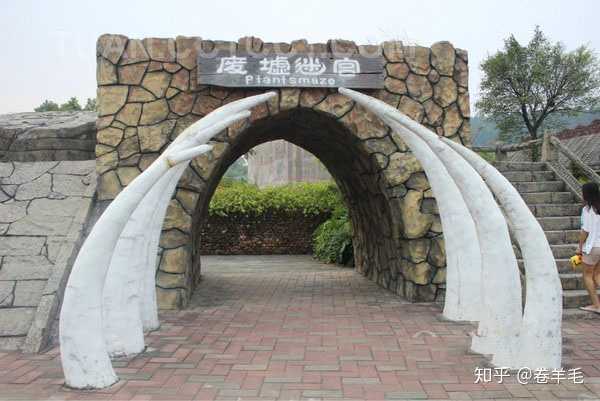 吊瓜怎么种植_吊瓜高产栽培技术相关视频_吊瓜养殖技术
