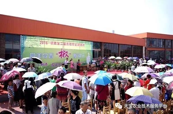 致富经种香菇的视频_致富经刘艾种菇_致富经菌菇种植
