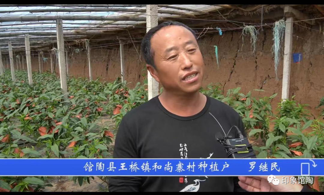 油桃的种植条件_致富种植简介油桃怎么写_种植油桃致富简介