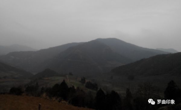 秦岭种植致富秘密_秦岭种植什么农作物_秦岭适合种植什么药材