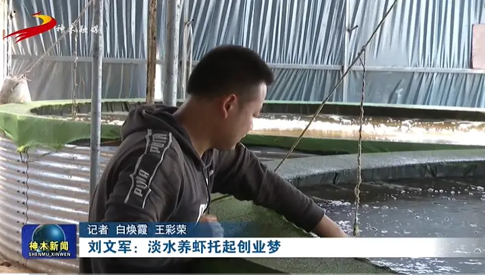 厉害了！陕西大学生依靠这个秘籍，取得淡水养虾的成功！