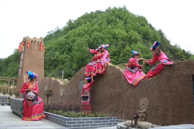 秦岭植物_秦岭种植致富秘密_秦岭种植什么农作物