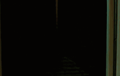 致富经养虫_cctv致富经 养蟾_致富经养金蝉