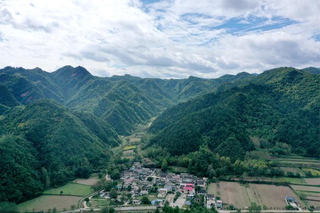 甘肃成县：绿色生态铺就致富路