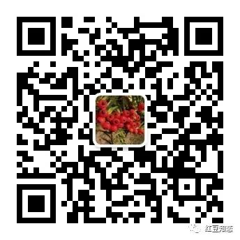 红豆杉养殖注意事项_如何养殖红豆杉_红豆杉养殖技术