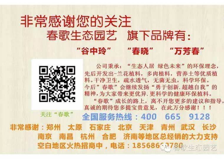 红豆杉养殖技术_养殖红豆杉技术与管理_养殖红豆杉技术视频