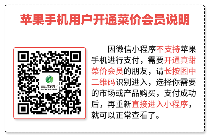 致富经种植葱_种植葱赚钱吗_种大葱致富